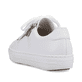 Edelweiße Rieker Damen Sneaker Low L59L1-83 mit einem Reißverschluss. Schuh von hinten.